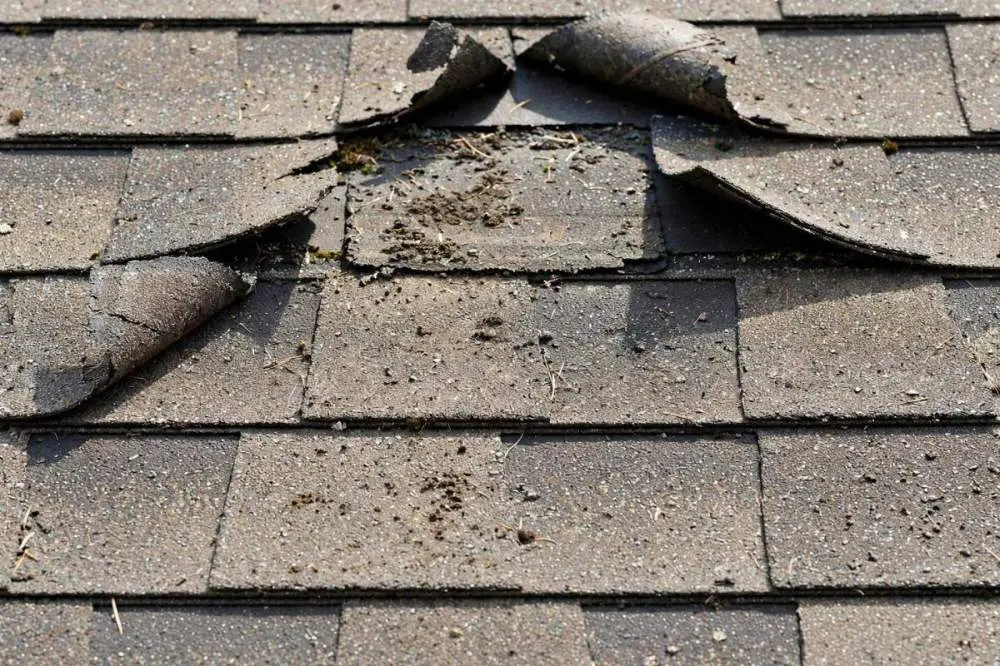 Fall Roof Maintenance Checklist: 9 Things to Do Before Winter